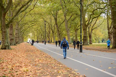 DSC_0600 (Large).JPG